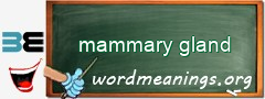 WordMeaning blackboard for mammary gland